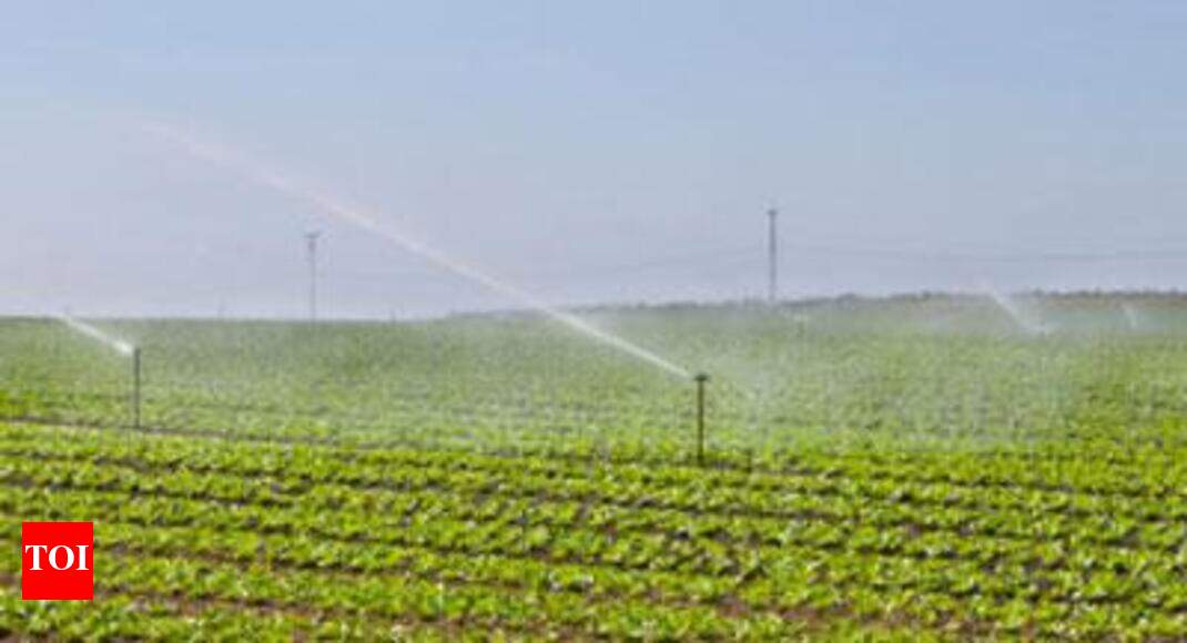 Drip irrigation to be promoted among Maharashtra sugarcane farmers