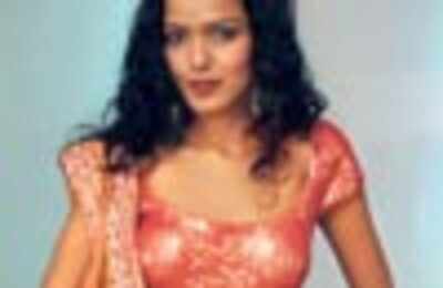For your big, fat Indian wedding - Times of India
