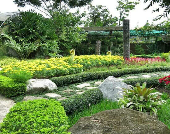 Phuket Botanic Garden