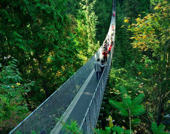 Capilano Suspension Bridge