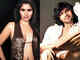 Exes Narayani and Gaurav to act in a romantic show