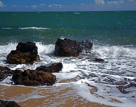 Sandringham and Black Rock Beaches