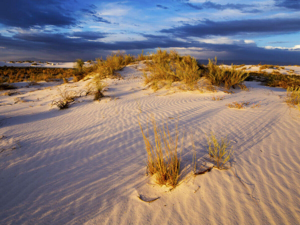 White Sands Desert in New Mexico Times of India Travel