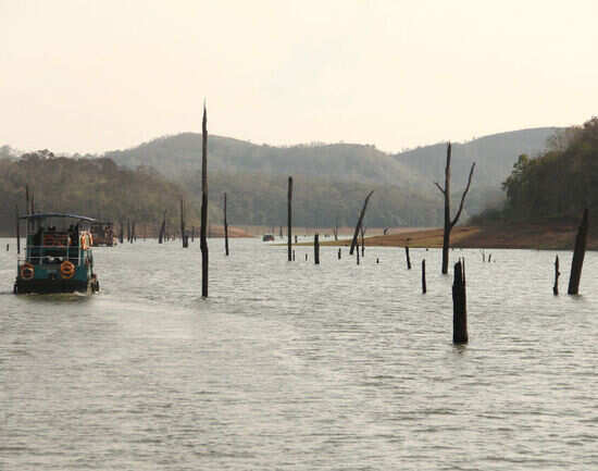 Periyar National Park