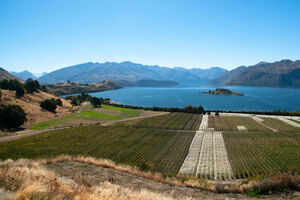 Rippon