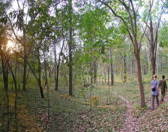 Exploring Periyar on foot