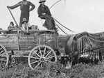 Water wagons are usually used for farming