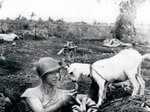 Soldier sharing a banana with the goat