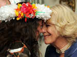 Britain's Camilla, Duchess of Cornwall receives a traditional Maori welcome Photogallery - Times of India