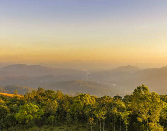 Places to stay in and around Periyar
