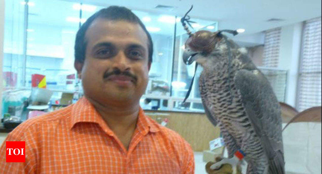 Indian Falconologist Finds Recognition In Saudi Arabia