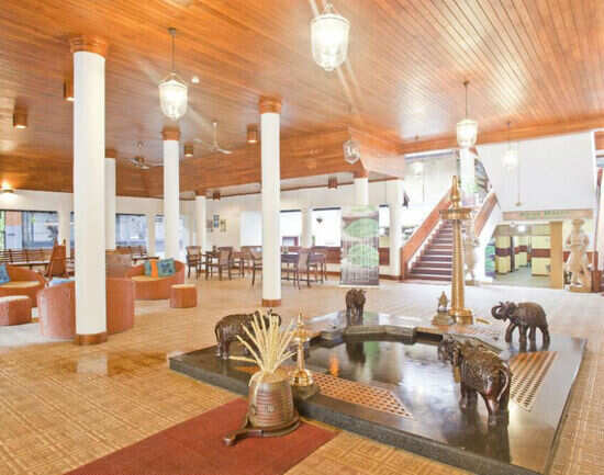 The Elephant Court