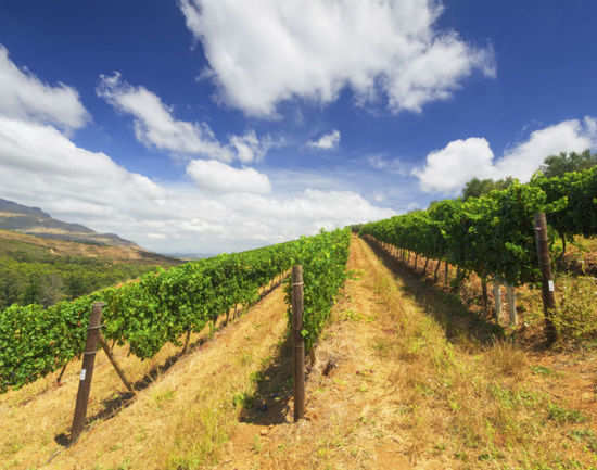 Stellenbosch | Times of India Travel