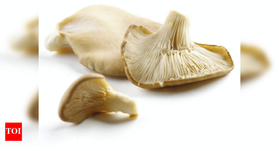 Types of Mushroom in India: Know all about Mushrooms