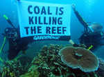 Members of Greenpeace organization hold an underwater protest in the Great Barrier Reef Photogallery - Times of India