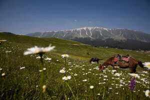 5 sights to tick off in Gulmarg