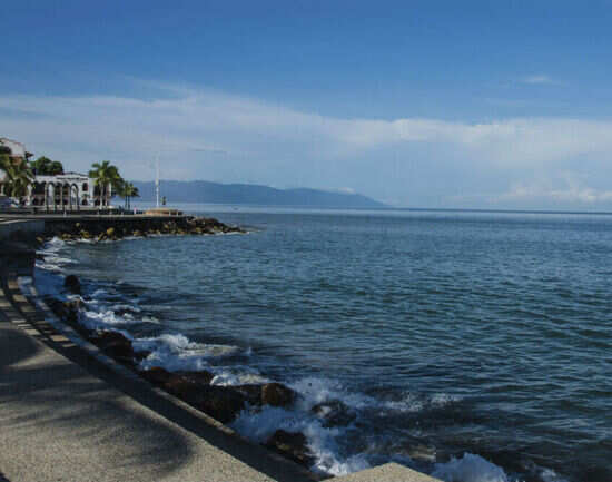Malec&oacute;n