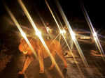 A lion walks past a queue of cars