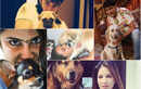 TV stars and their darling pets