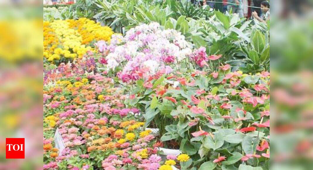 Just 1 lab in Tamil Nadu for pesticide test | India News ...