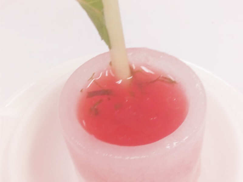 EXCLUSIVE Chef's recipe of a palate cleanser! Times of India