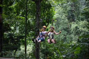 Ziplining through the Rain Forests