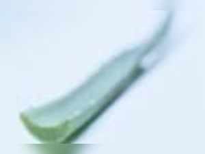 aloe vera for cavities