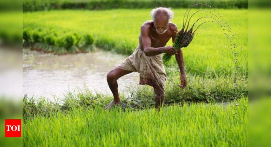 Survey shocker Half of rural India touched by poverty