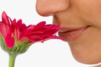 Simple sniff test could detect autism