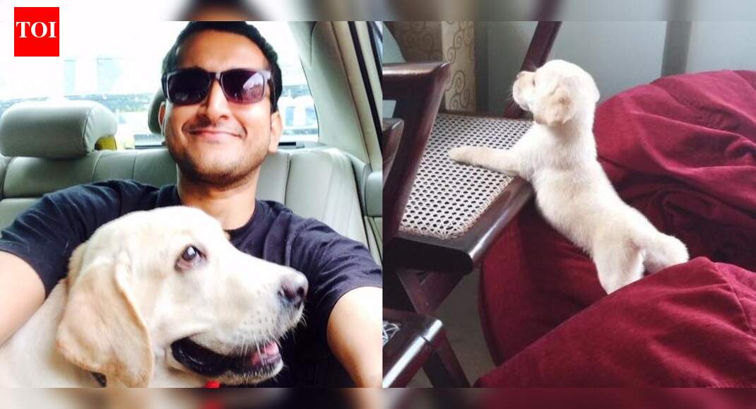 Tollywood celebs and their adorable pet dogs