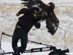 Eagle definitely doesn’t like this photographer