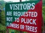 Now how do we pluck trees?