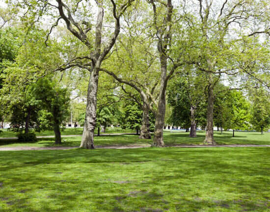 Noida&rsquo;s best green escapes