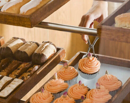 The CUPnCAKE Factory