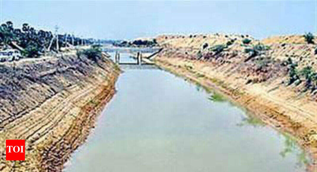 Telangana plans more irrigation projects on Godavari Hyderabad News