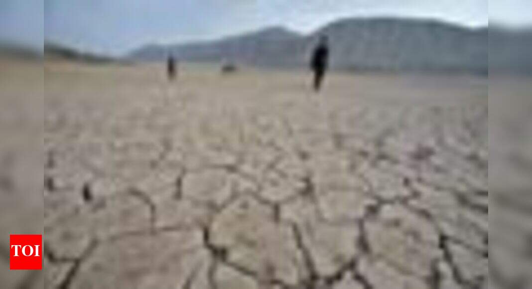 UP govt declares 27 more districts as drought-hit | India News - Times ...