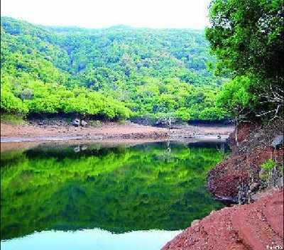 Eco-tourism at Sahyadri Tiger Reserve gets a boost