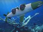 Billionaire’s new motor sport SeaBird is a submarine