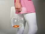 Miss your fish at work, then mobile fishbowl is your thing!