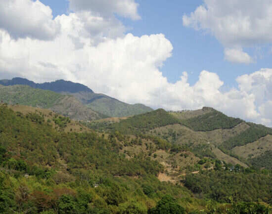 48 hours in Dharamsala and Mcleodganj