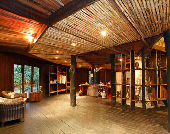 Top five luxury wildlife lodges in Madhya Pradesh