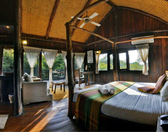 Tree House Hideaway