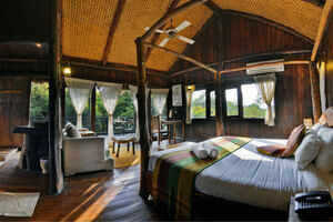 Tree House Hideaway