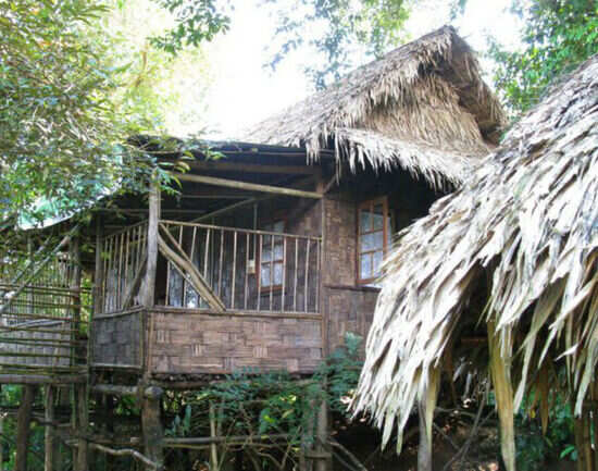 Machaan―The Tree House