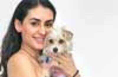 Who wants a man? Women rather prefer dogs! - Times of India
