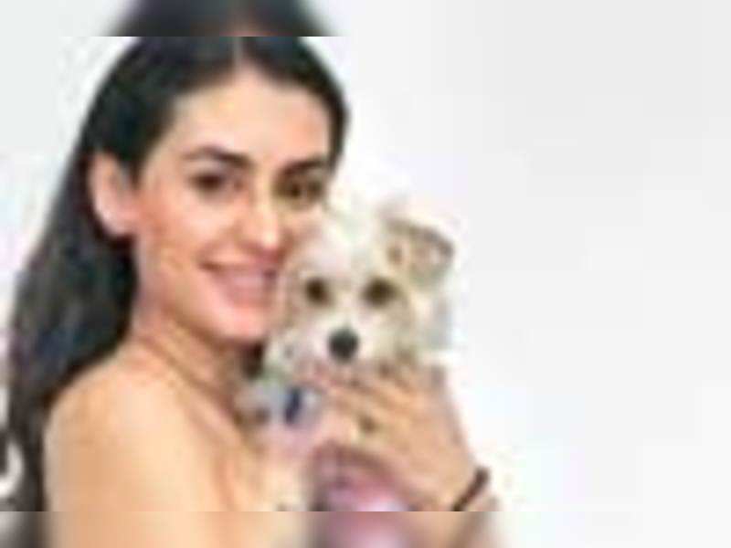 Who wants a man? Women rather prefer dogs! - Times of India