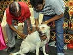 Dr. S N Saha with pet Jenny and Arpa