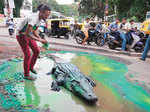 Artist Baadal Nanjundaswamy uses a life-size crocodile
