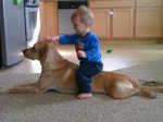 Here’s a young boy who wants to ride on his pet dog