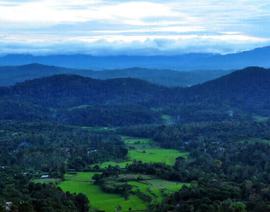 How to reach Coorg